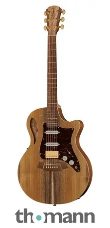 Novinka Cole Clark TL2EC-BLBL-HSS Thin Li B-Stock