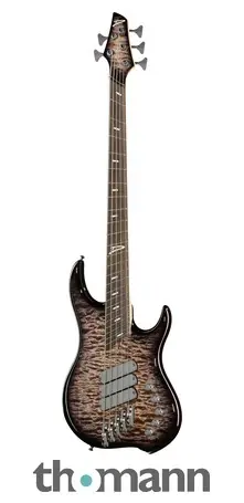 Nejlepší Volba Dingwall Z Custom Shop FBB
