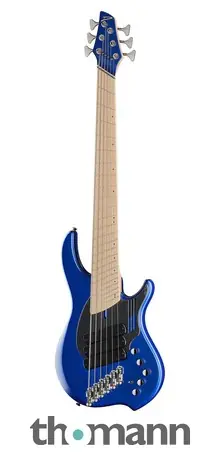 Dingwall NG3 Nolly Sig. 6 Blueberry LTD Výprodej