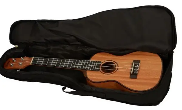 CASCHA HH 2035 Concert Mahagony - Akustic.koncert.ukulele (HN217258) , sklad 2ks-D04- Shoop - Elektro Kyjov - Green Food Přímo Od Výrobce