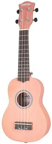 CASCHA HH 3968 Set-Sopránové ukulele+pouzdro Růžová(HN217245), sklad 2ks -D05- Shoop - Elektro Kyjov - Green Food Poslední Šance