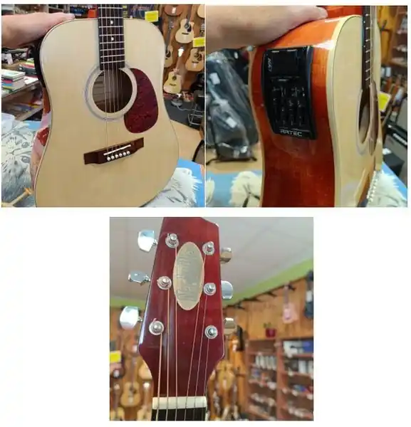 Odeslání Ihned NASHVILLE NW-25EQNT KKS elektroakustická western.kytara, sklad 1ks -amk- Shoop - Elektro Kyjov - Green Food