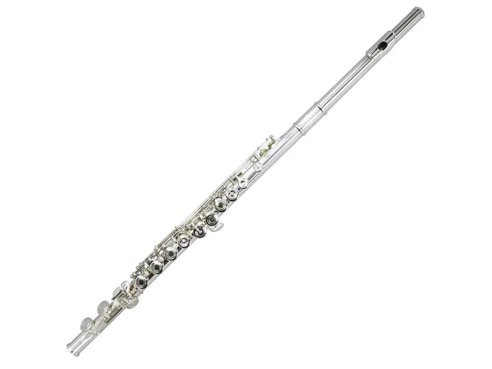 Jen Po Omezenou Doba Příčná flétna TREVOR JAMES VIRTUOSO VF-ROE