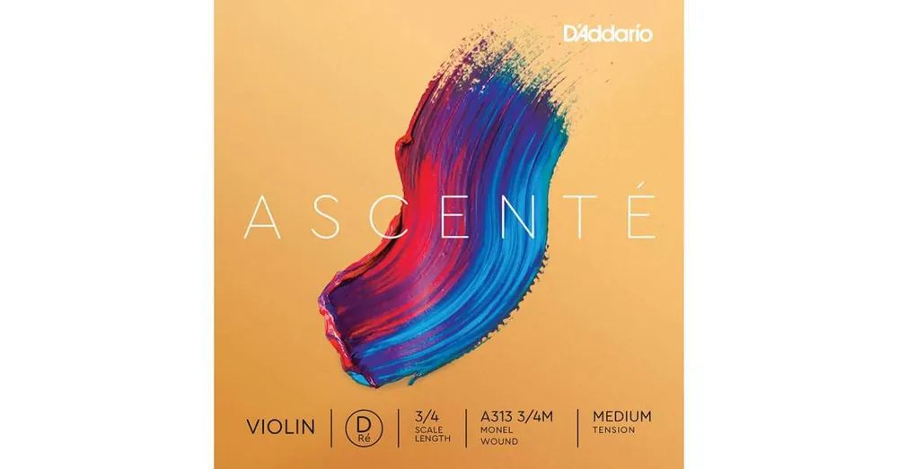 D‘Addario Ascenté A313-34M Rychlé Dodání