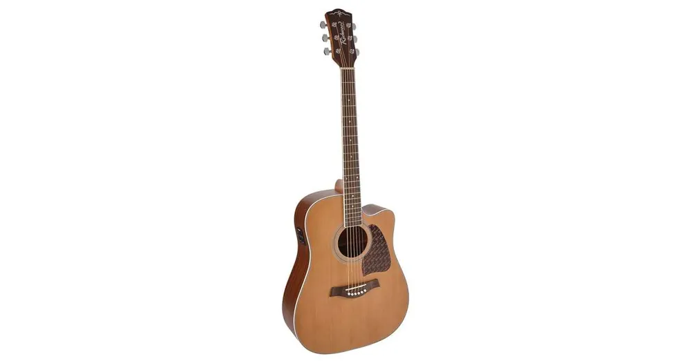Poslední Šance Richwood Artist RD-17C-CE