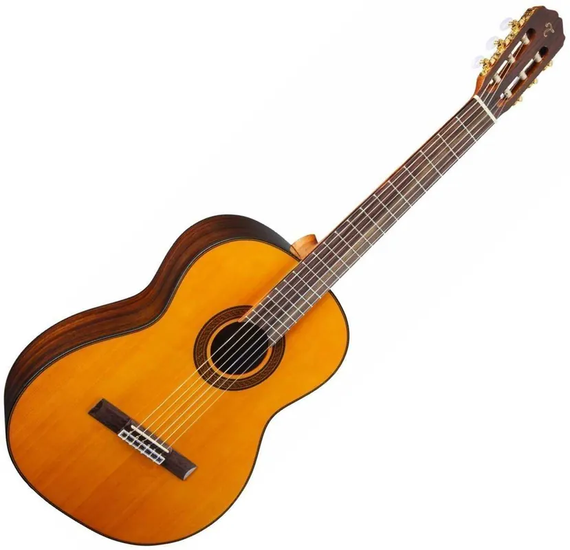 Akce Takamine GC5-NAT