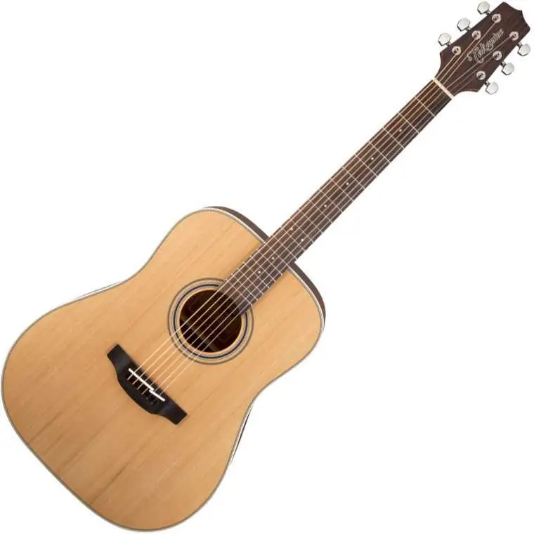 Nejprodávanější Takamine GD20-NS