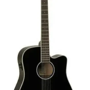 Tanglewood TW28 SLBK CE Sleva