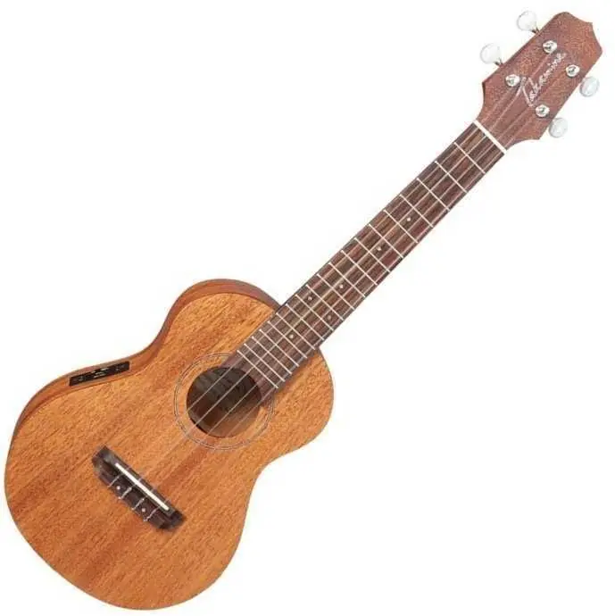 Cenový Hit Takamine EGU-C1