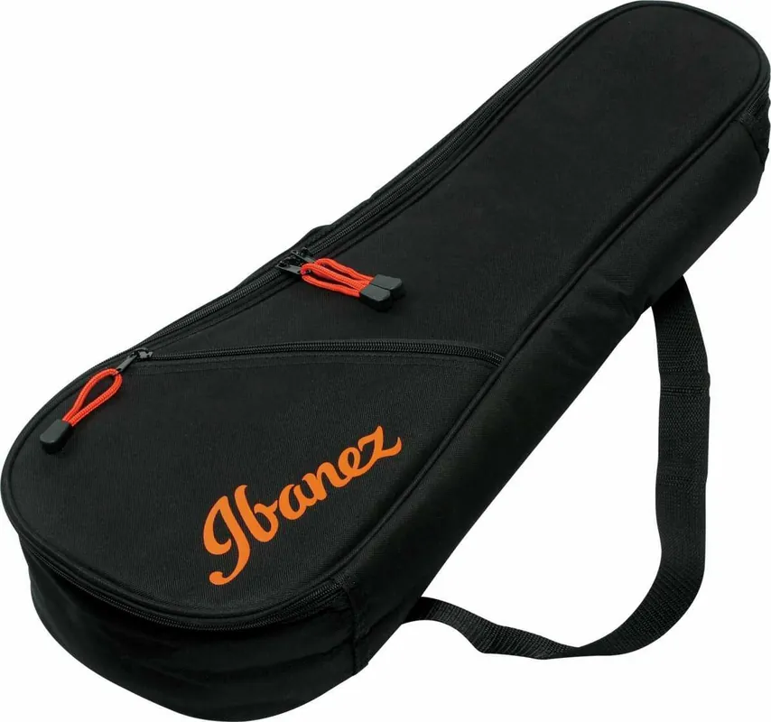 Objednat Nyní IBANEZ IUBC 301 BK