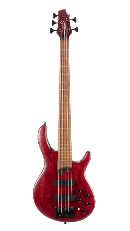 CORT B5 Element Novinka