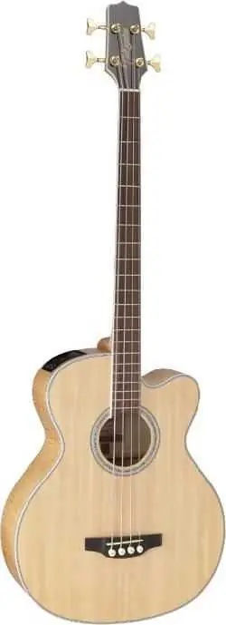 Nejprodávanější TAKAMINE GB 72CE NAT