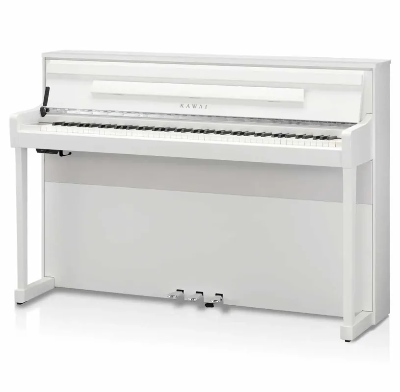 Ihned K Objednání KAWAI CA901W