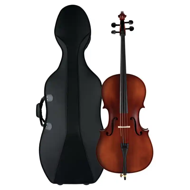 Speciální Cena Classic Cantabile Brioso Cello Set ¾