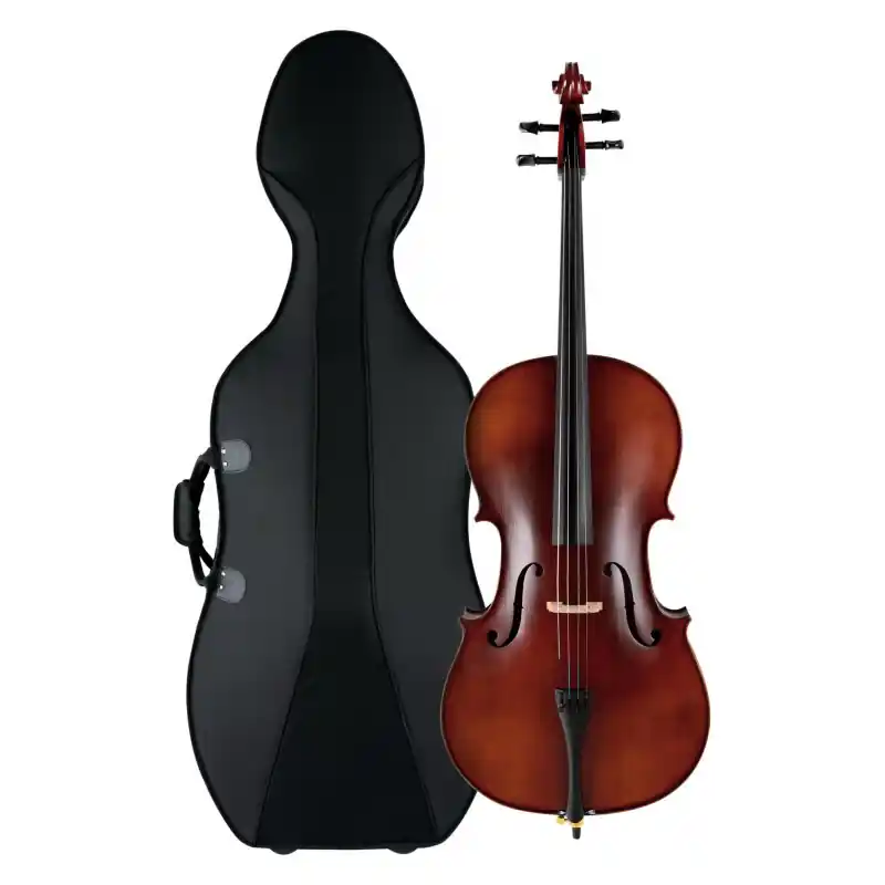 Cenový Hit Classic Cantabile Brioso Cello Set 4/4