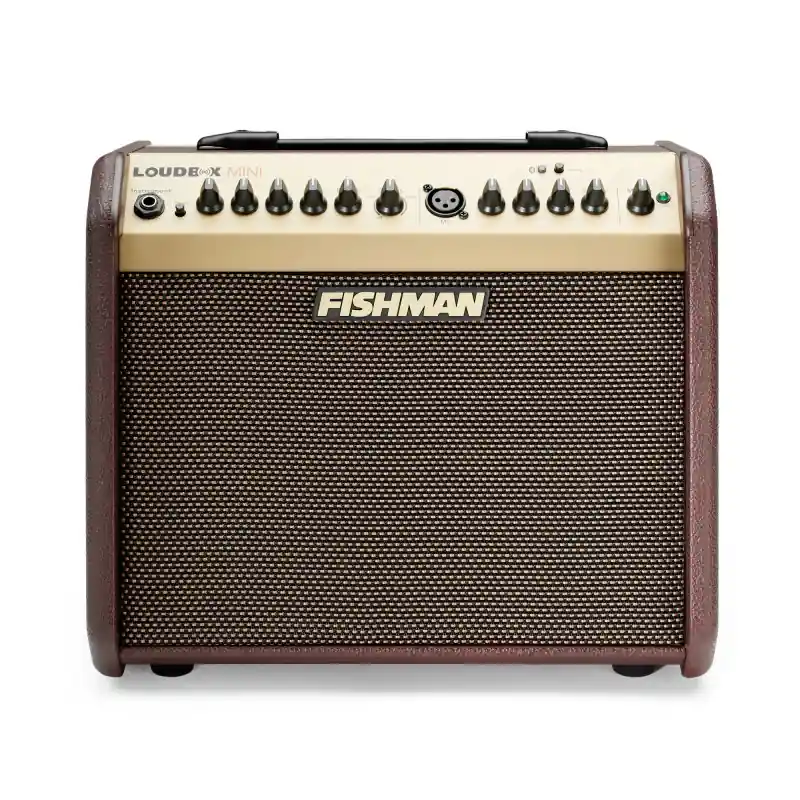 Fishman Loudbox Mini Bluetooth Tovární Cena