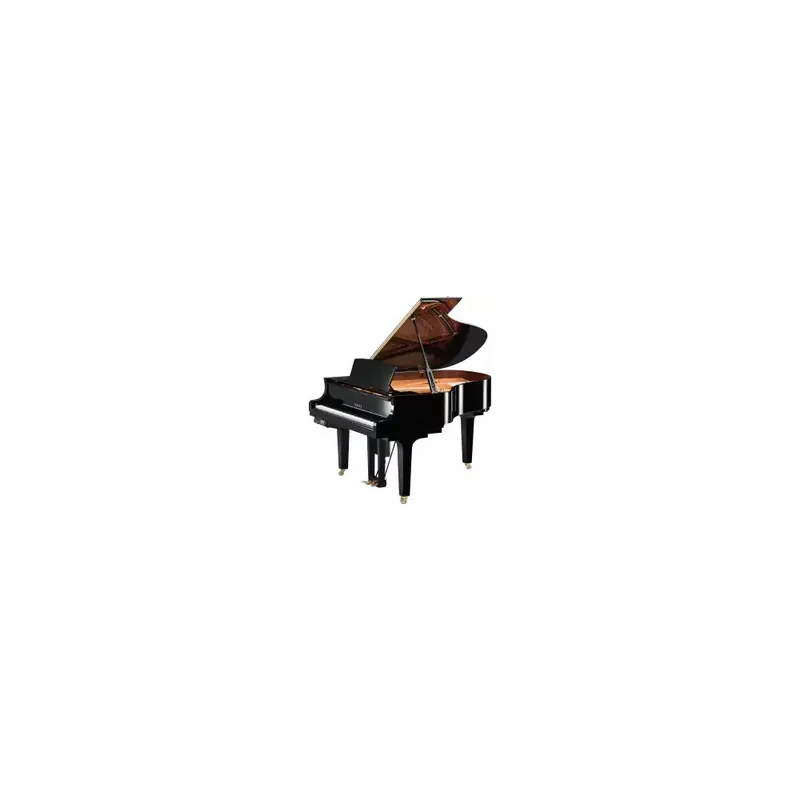 Přímo Od Výrobce Yamaha DC2X EN PE - prodloužená záruka 5 let