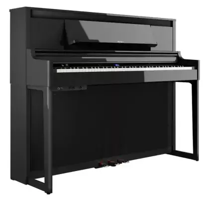 Přímo Od Výrobce Digitální piano Roland LX-6 PE