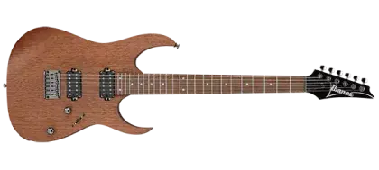 Cenový Hit Elektrická kytara Ibanez RG421-MOL