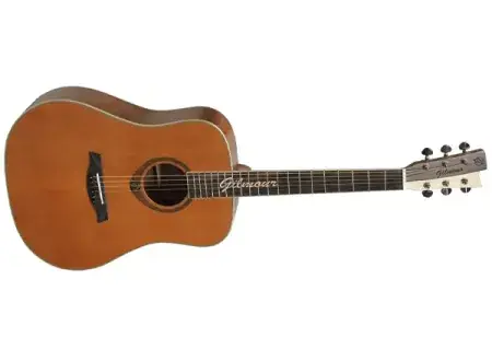 Akustická kytara Gilmour Woody WN 48 Výhodná Nabídka
