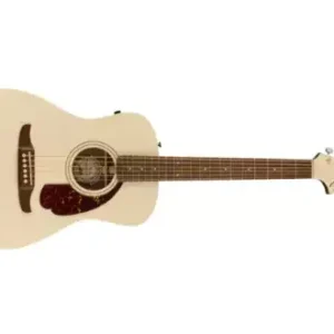Ověřený Elektroakustická kytara Fender Malibu Player OWT WN