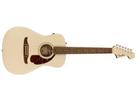 Ověřený Elektroakustická kytara Fender Malibu Player OWT WN