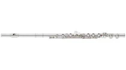 Flétna příčná Yamaha YFL 817 ST Ihned K Objednání
