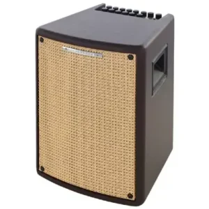 Bezpečná Platba Kombo akustické Ibanez T80II