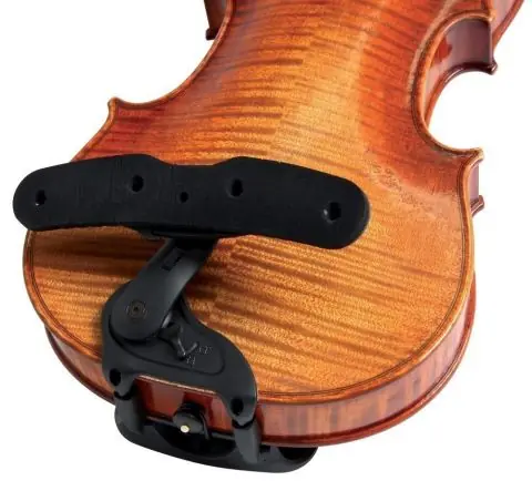 Oblíbený Pavouk Model Isny Housle