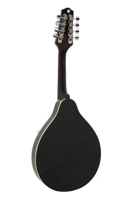 Pouze Dnes Mandolína A-1 Select