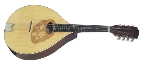 Nejlepší Cena Mandola Pro Arte