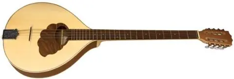 Značkový Irská Bouzouki Pro Natura Silver