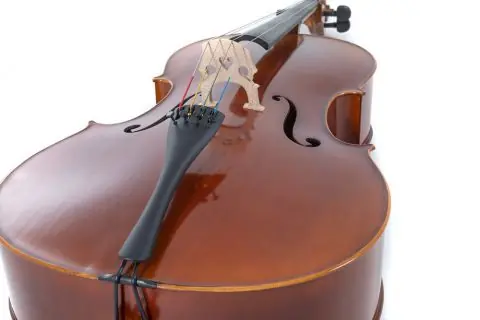 Cello Allegro-VC1 Bezpečná Platba