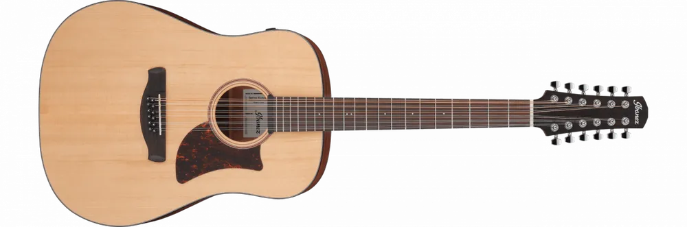 Ibanez AAD1012E-OPN Open Pore Natural Novinka